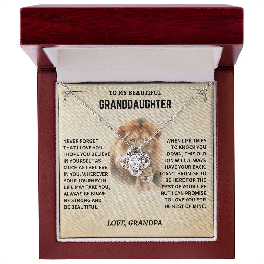 Gift For Granddaughter From Grandpa, "Never Forget How Much I Love You," Necklace